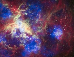 The Tarantula Nebula, by NASA